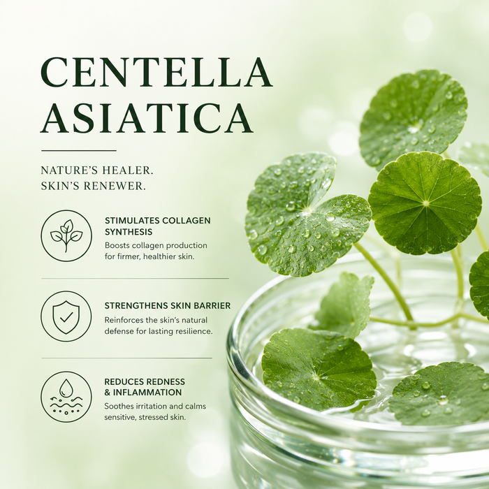 Centella Asiatica